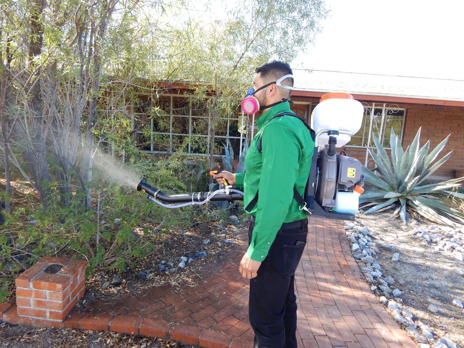 Tucson Mosquito Pest Control