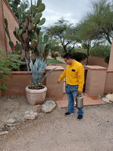 Tucson Pest Control