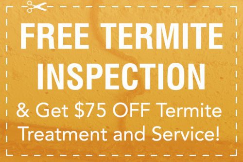 Tucson termite exterminator deal - save money